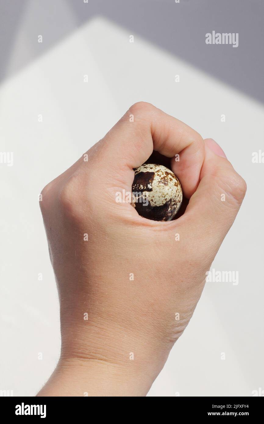 œuf de caille, nourriture aux œufs, petit déjeuner, œuf Banque D'Images