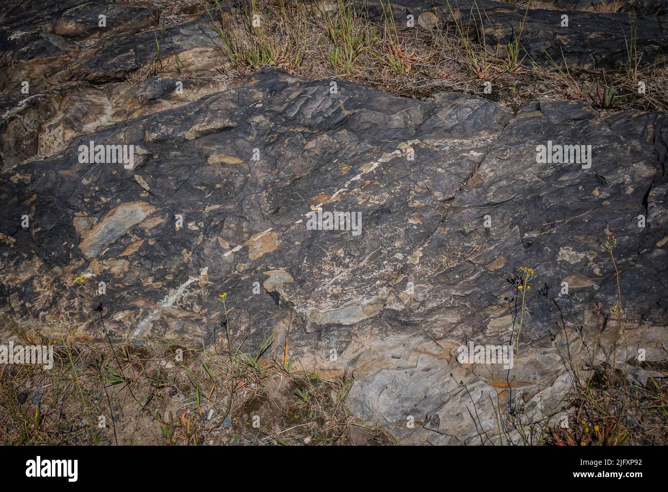 Rochers noirs à Sudbury, Ontario, Canada. Les roches ont été tachées noires par les premières émissions de la fonderie, qui contenaient du dioxyde de soufre et des particules métalliques Banque D'Images