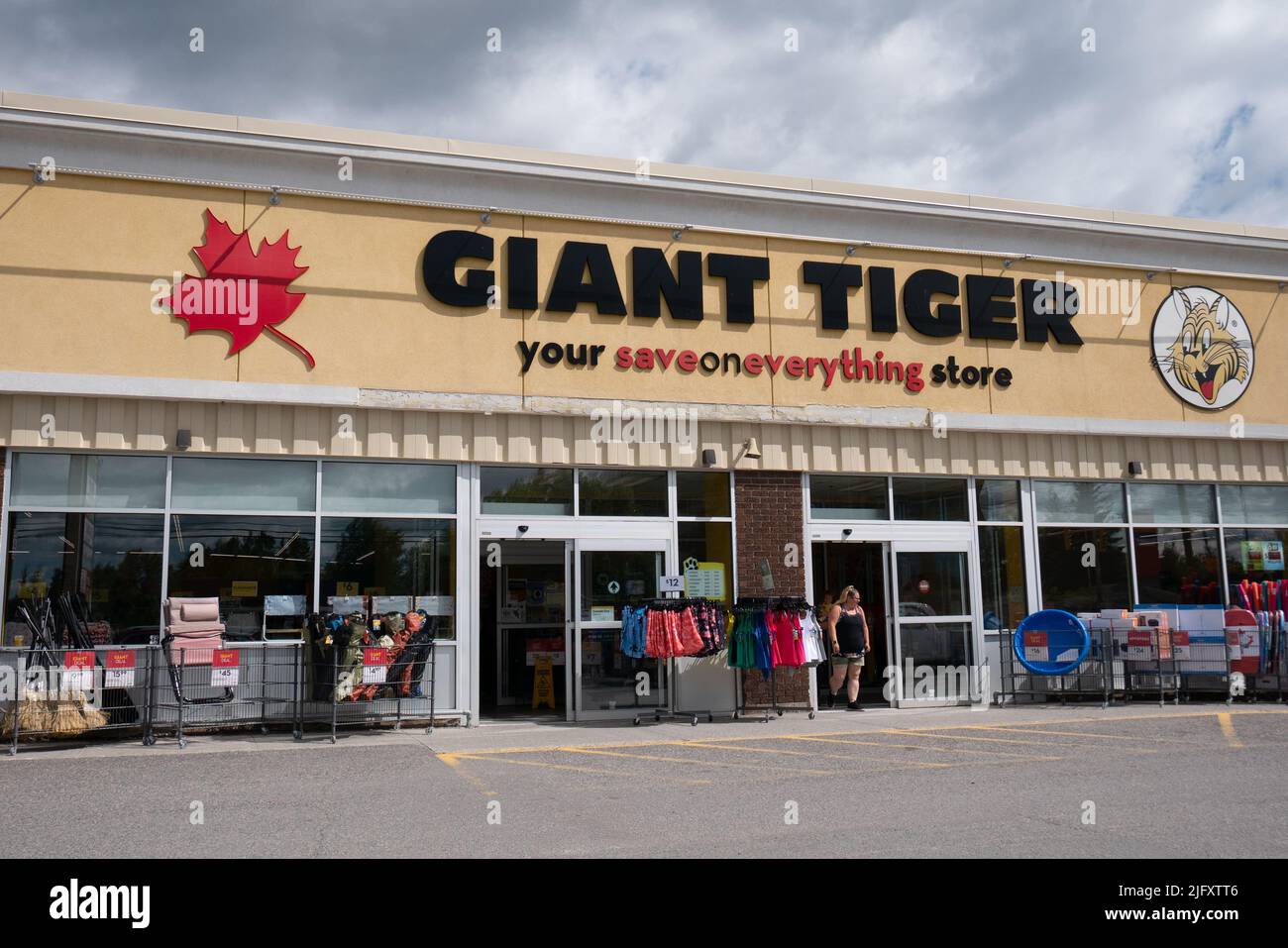Giant tiger Banque de photographies et d’images à haute résolution - Alamy