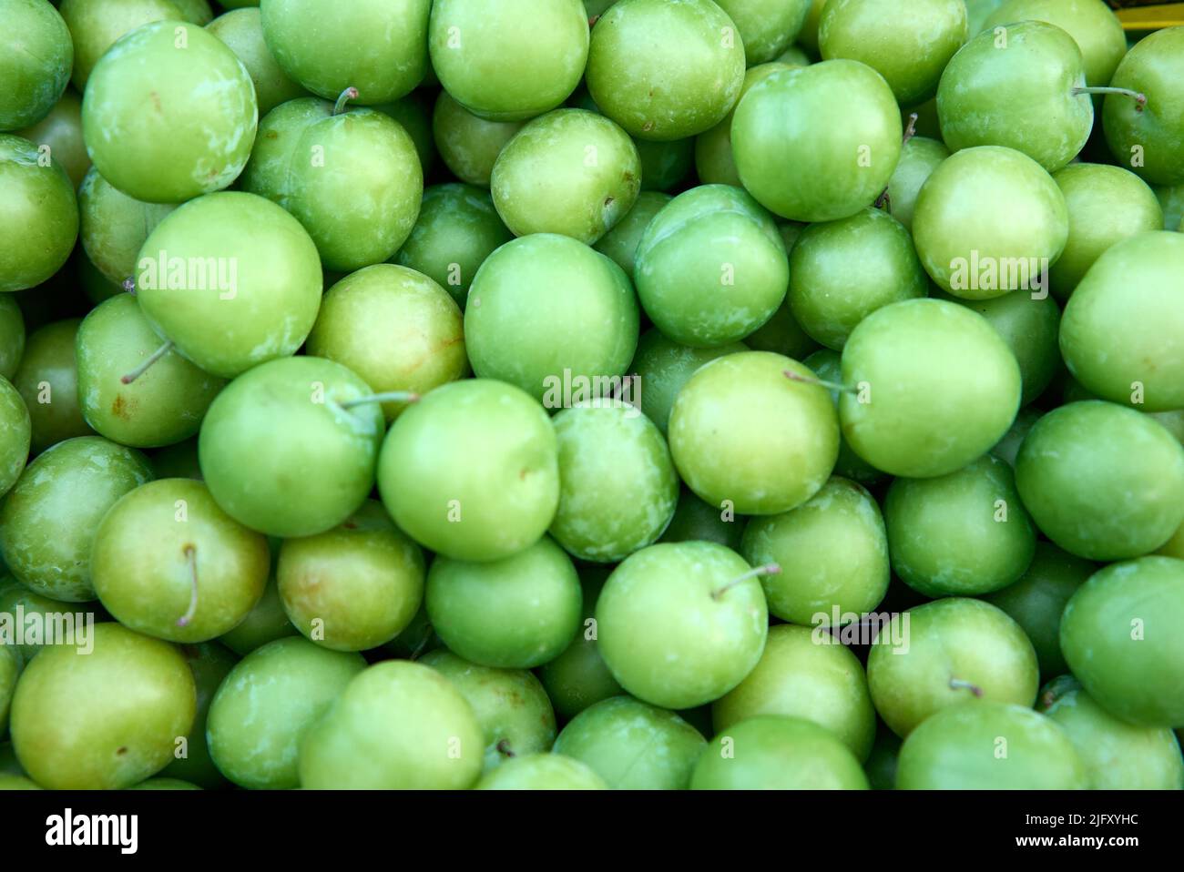 Fond Apple vert, faible profondeur de champ. Banque D'Images