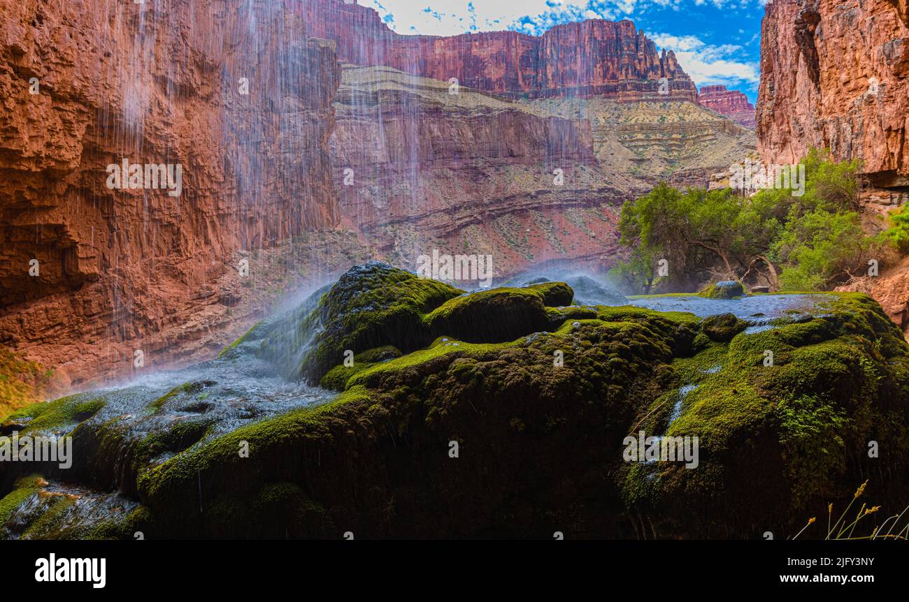 Vue sur le Canyon depuis derrière Ribbon Falls sur la North Kaibab Trail, parc national du Grand Canyon, Arizona, États-Unis Banque D'Images