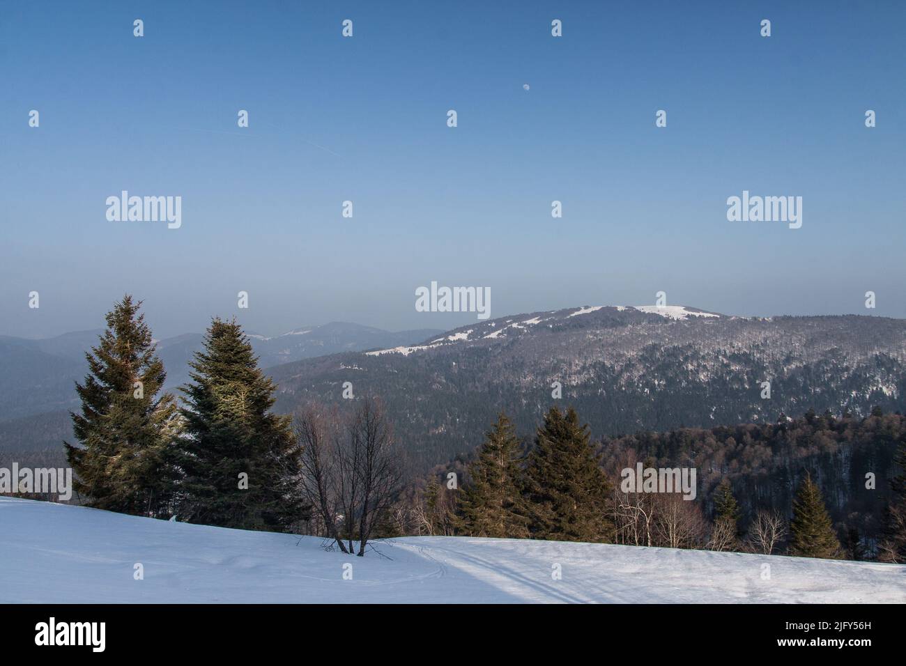 Ballon de servance Banque de photographies et d'images à haute résolution -  Alamy