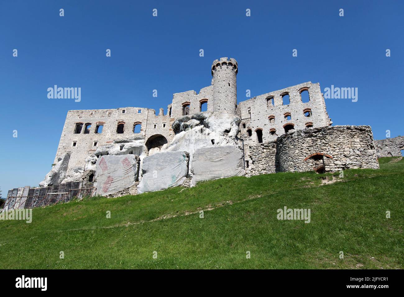 Ruines du château d'Ogrodzieniec en Pologne Banque D'Images