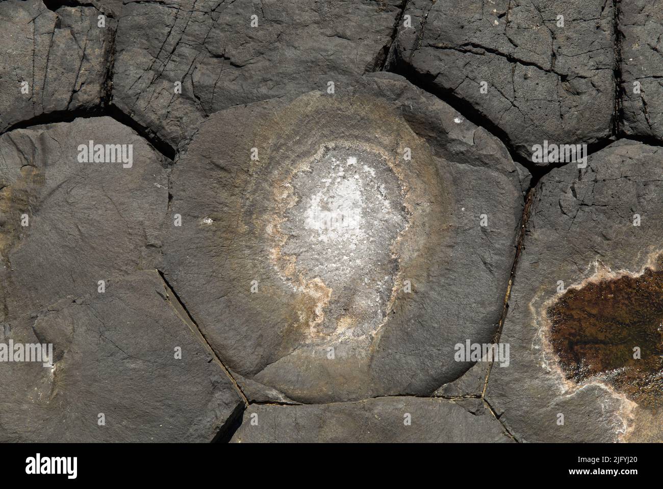 Gros plan des colonnes de Basalt sur l'île de Staffa, Hébrides intérieures Banque D'Images