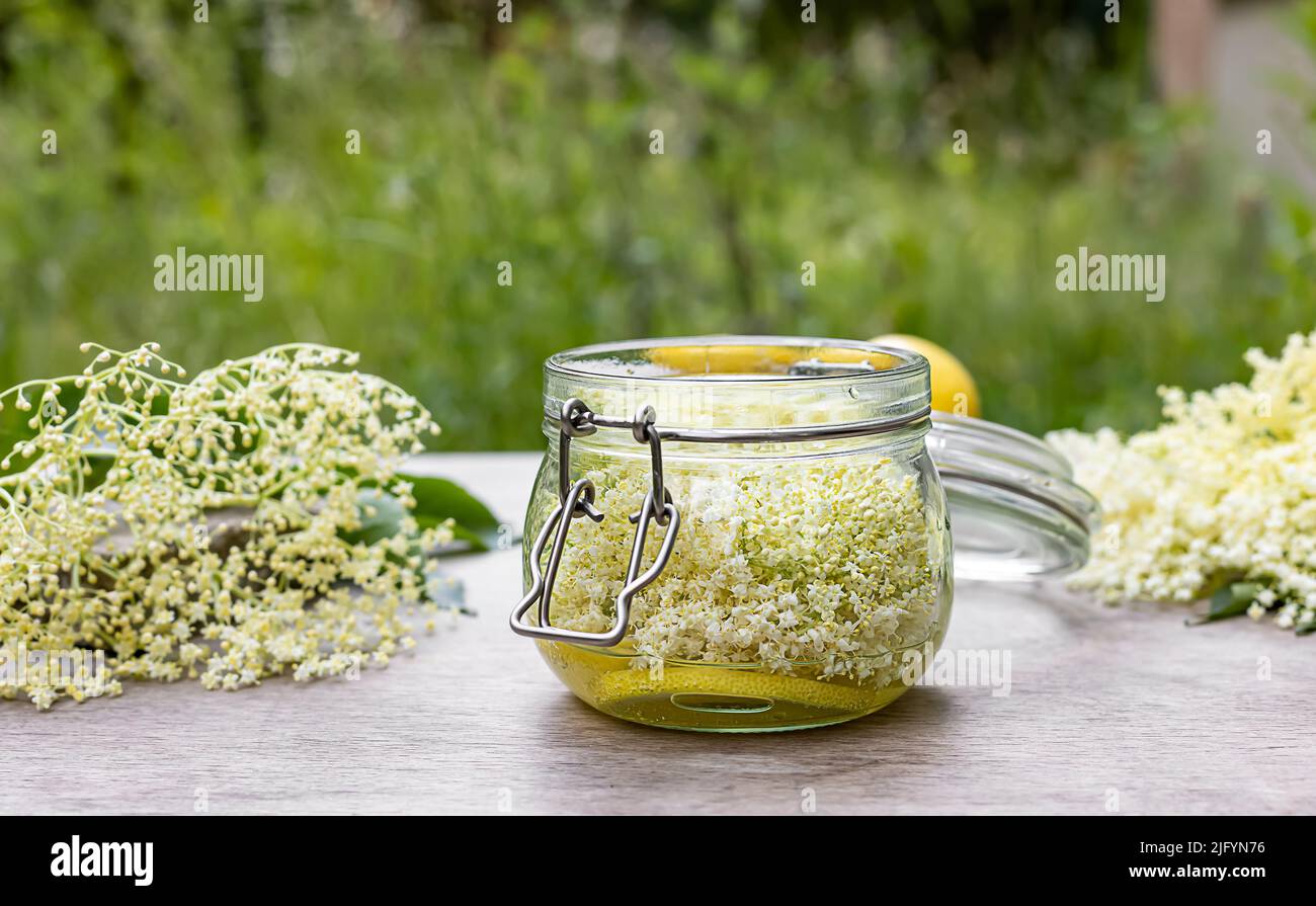 Sirop de fleur de sureau maison Banque D'Images