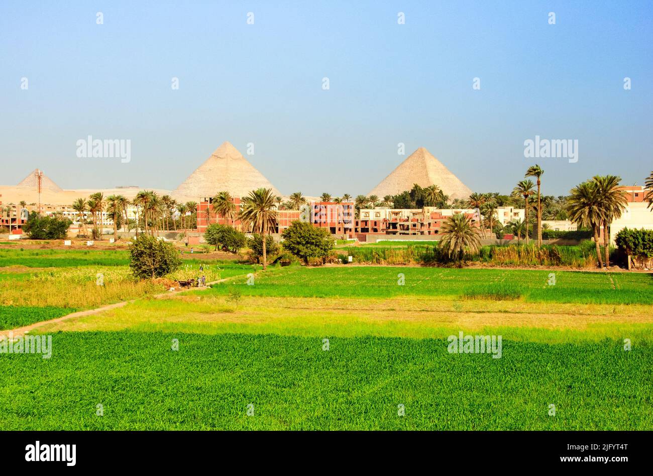 Une terre agricole à Gizeh près du complexe des grandes Pyramides - Basse-Égypte Banque D'Images