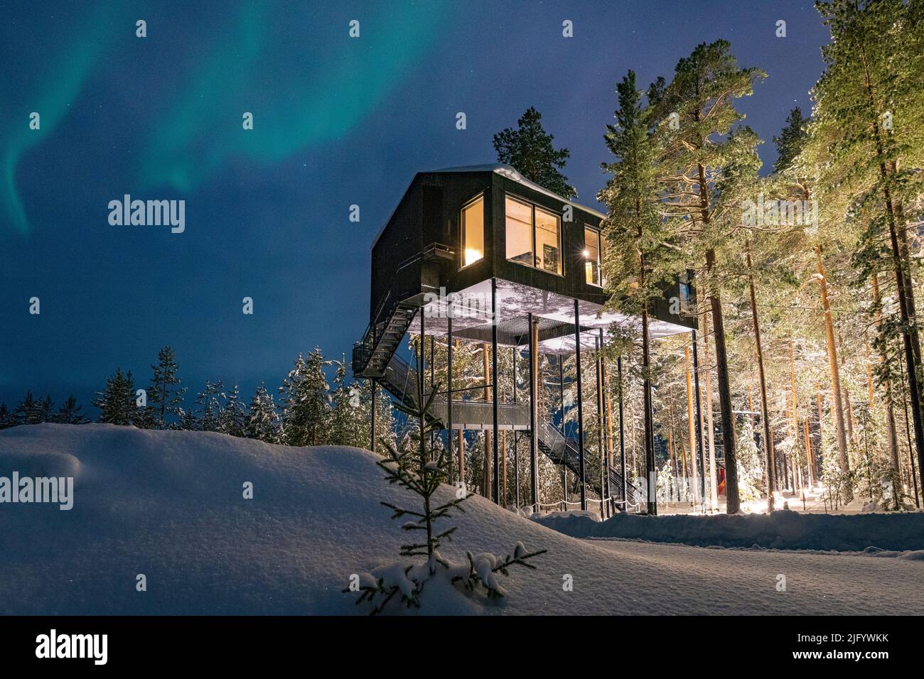 Aurora Borealis (aurores boréales) au-dessus du chalet en bois situé parmi les arbres dans la neige, Tree Hotel, Harads, Laponie, Suède, Scandinavie, Europe Banque D'Images