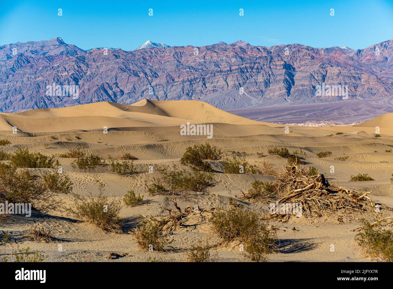 Mesquite Flat Sand Dunes, Vallée de la mort, Californie, États-Unis d'Amérique, Amérique du Nord Banque D'Images