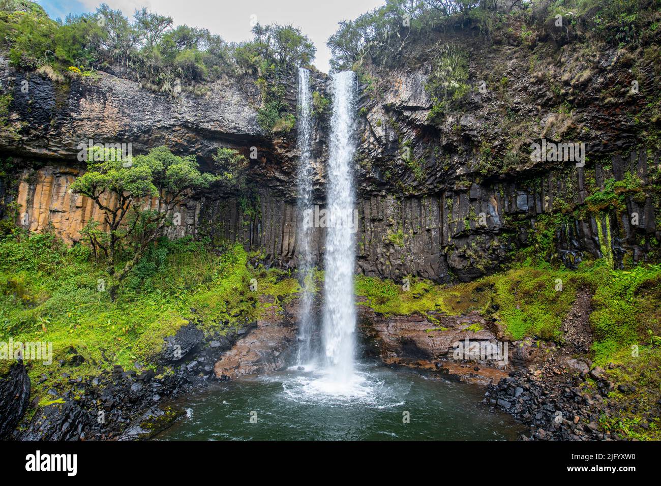 Chutes d'eau de la Canée, Parc national d'Aberdare, Kenya, Afrique de l'est, Afrique Banque D'Images