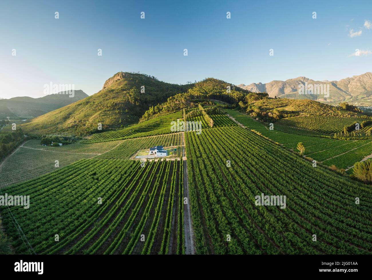 Vue aérienne des vignobles de vin près de Franschhoek, Cap occidental, Afrique du Sud, Afrique Banque D'Images