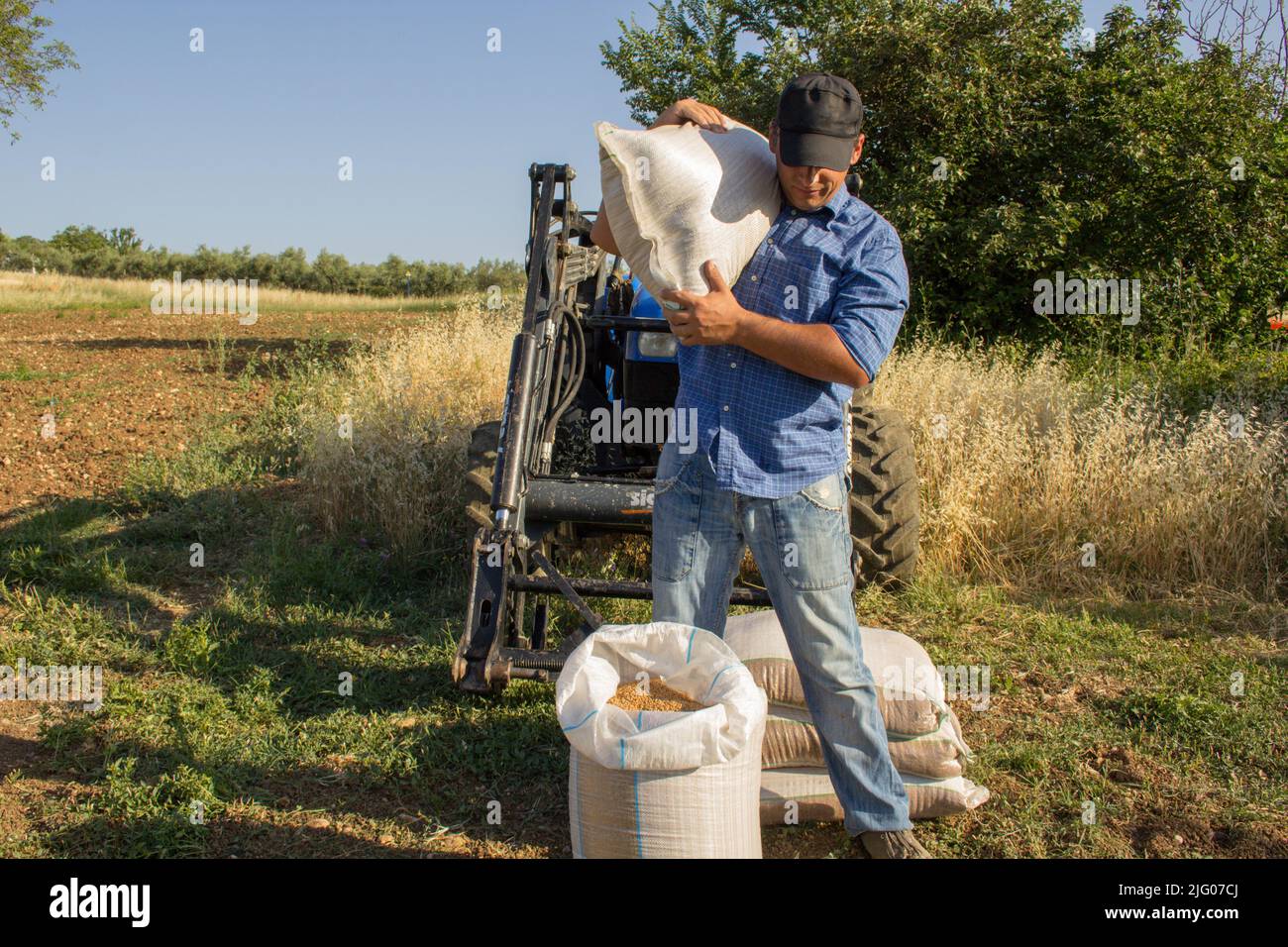 Image d'un agriculteur avec un tracteur en arrière-plan portant un sac de grain sur son épaule après la récolte. Référence au bloc de grain Banque D'Images