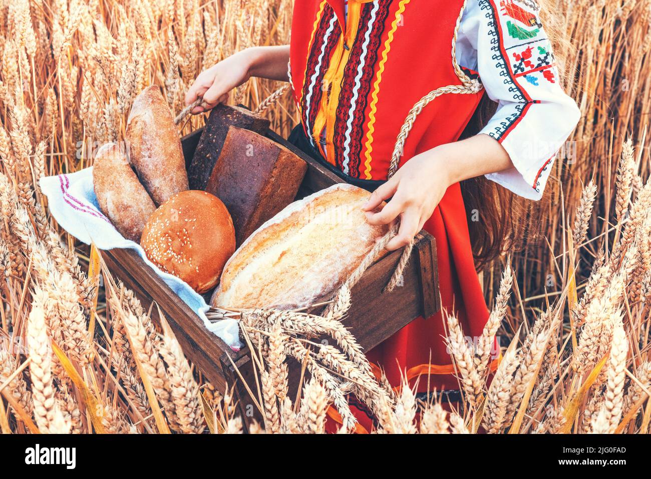 Belle fille femme dans le folklore bulgare traditionnel robe tenant panier en osier avec des pains faits maison dans le champ de blé Banque D'Images