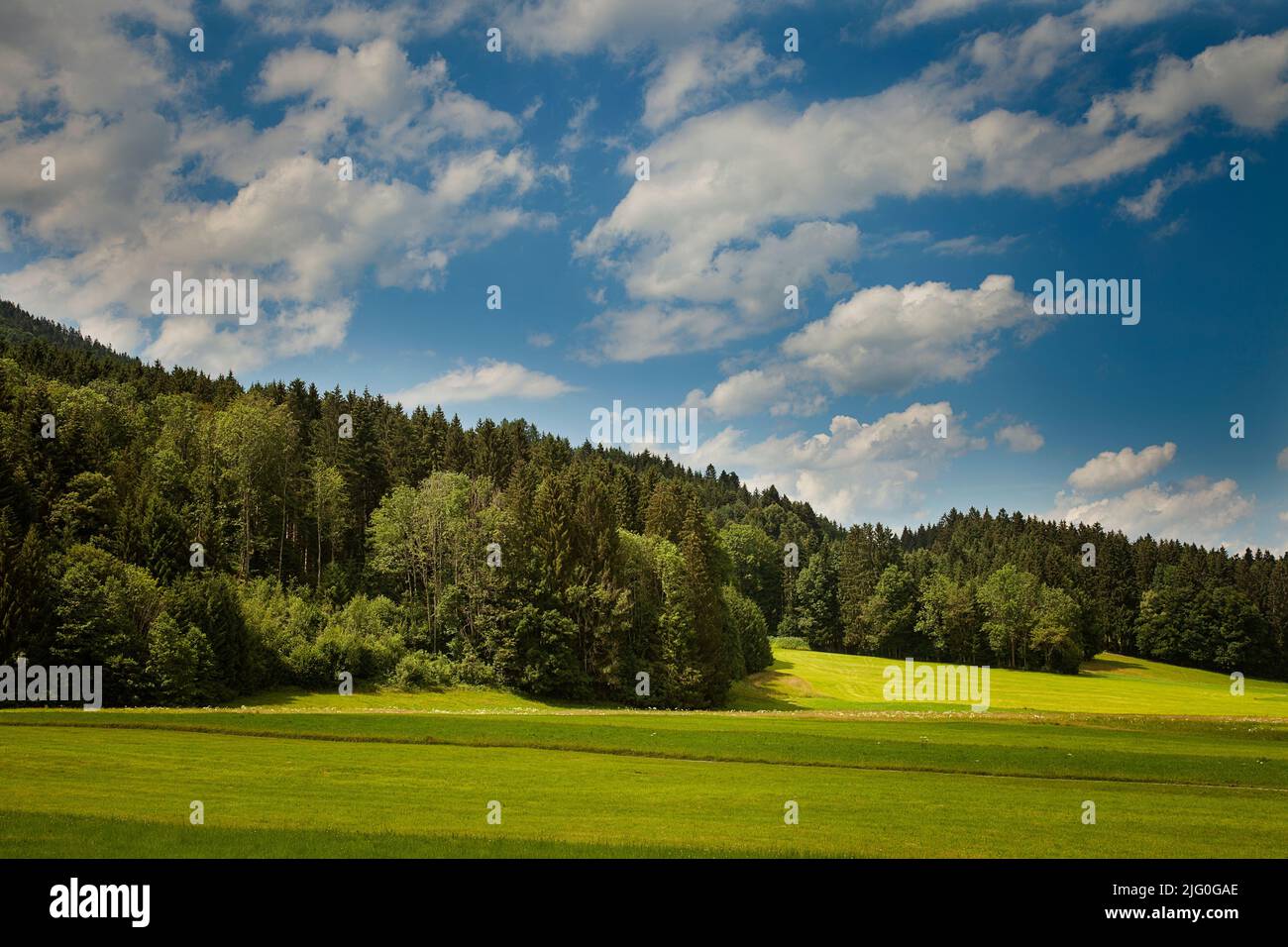 DE - BAVIÈRE: Pré au-dessous de la montagne Blomberg à Wackersberg près de Bad Toelz, haute-Bavière Banque D'Images