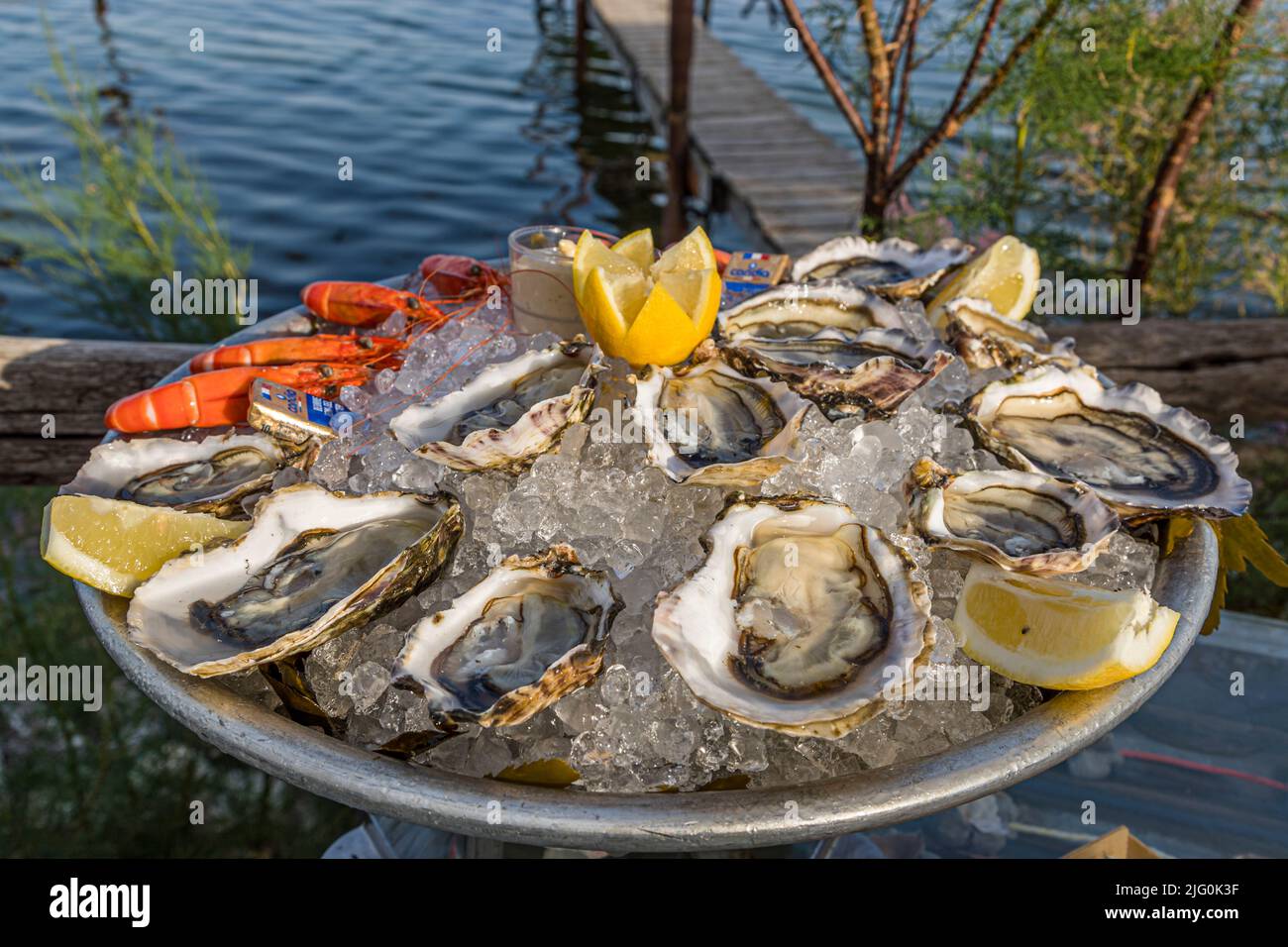 Un plateau d'huîtres et de crevettes avec des quartiers de citron repose sur la glace au débarcadère du pavillon de plage Le St Pierre Tarbouriech à Loupian, Hérault, France. L'Étang de Thau se trouve en arrière-plan. Banque D'Images