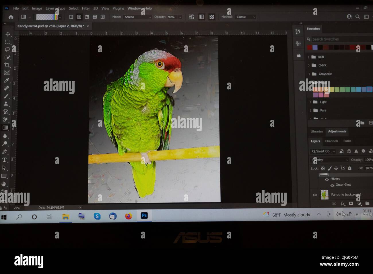 Capture d'écran sur perroquet dans Abode Photoshop Banque D'Images