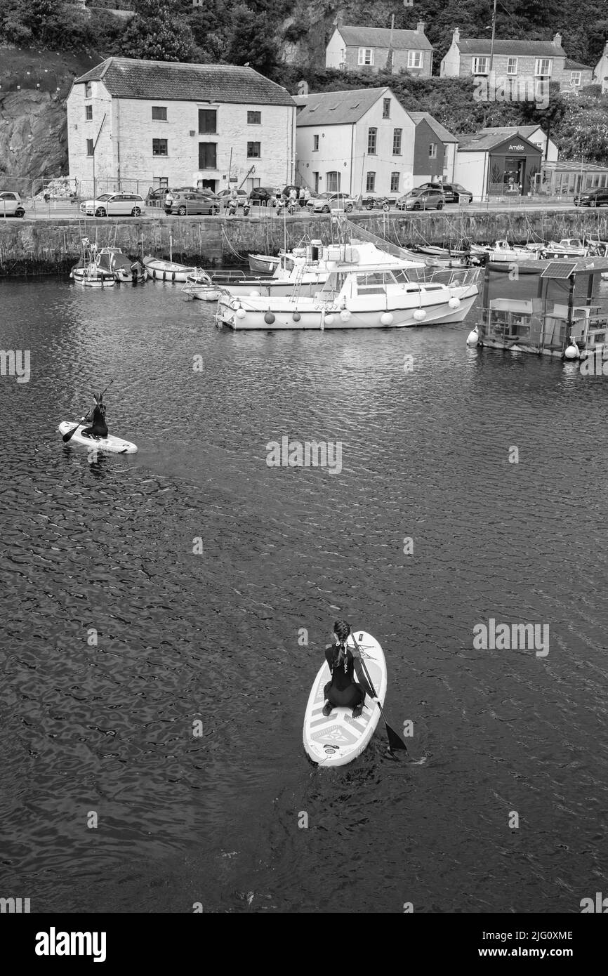 Paddleboard dans le port de Porthleven, Cornouailles Banque D'Images