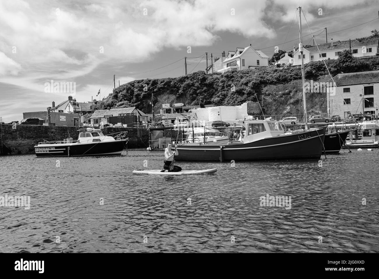 Paddleboard dans le port de Porthleven, Cornouailles Banque D'Images
