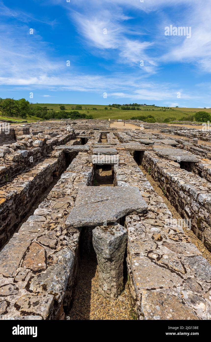 Le plancher suspendu du grenier au fort romain de Vindolanda, Northumberland, Angleterre Banque D'Images