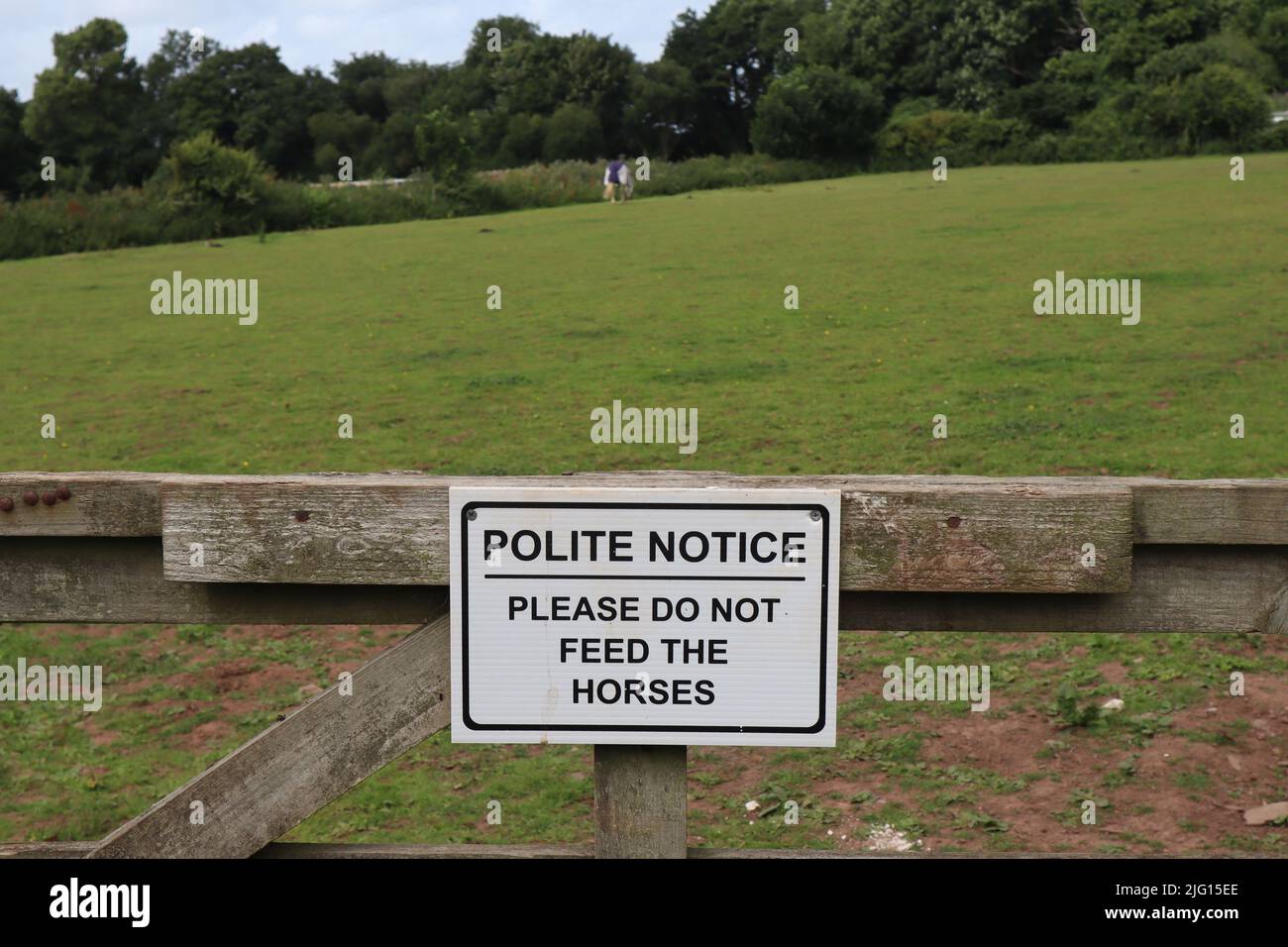 Panneau sur une porte de ferme disant poli avis s'il vous plaît ne pas nourrir les chevaux. Un cheval peut être vu en arrière-plan Banque D'Images