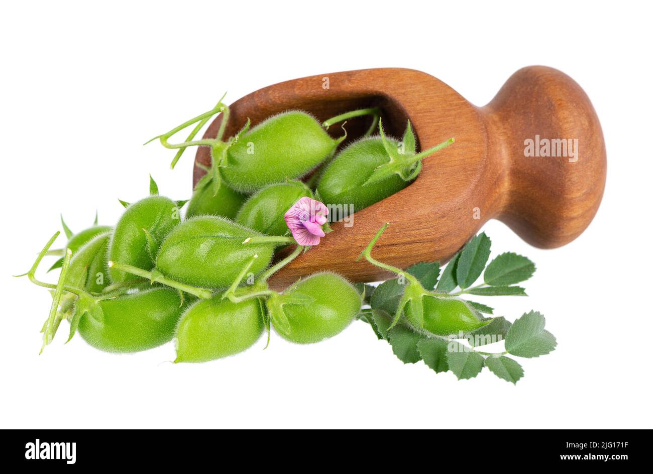 Pois chiches verts en cuillère en bois, isolés sur fond blanc. Pois chiches iIn la gousse avec des feuilles et des fleurs vertes. Cicer arietinum. Masque Banque D'Images