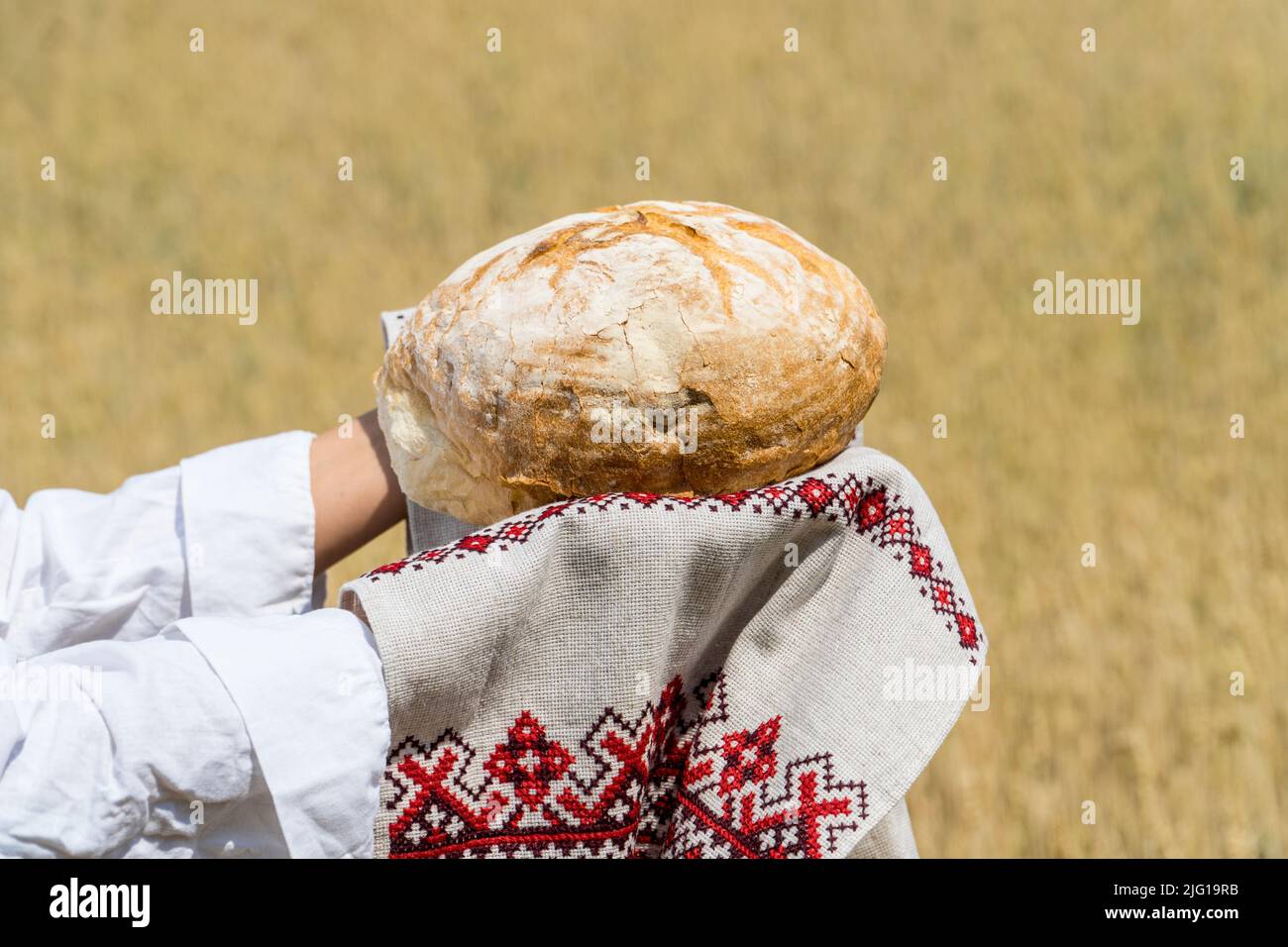 Des mains de femmes tenant un pain cuit maison au-dessus de sa tête sur un ciel bleu d'été dans un champ de blé. Concept d'hospitalité et d'approvisionnement alimentaire. Banque D'Images