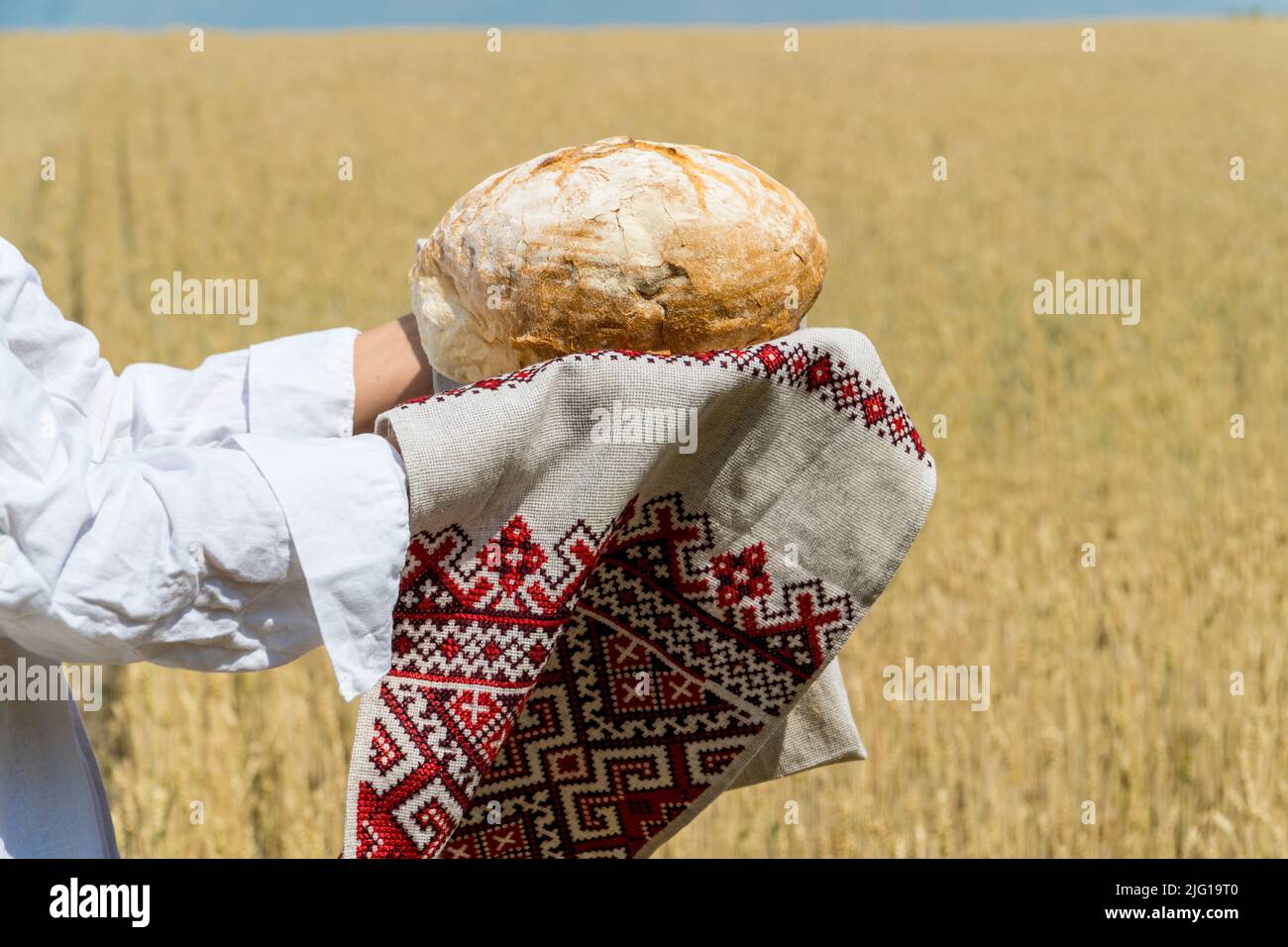 Des mains de femmes tenant un pain cuit maison au-dessus de sa tête sur un ciel bleu d'été dans un champ de blé. Concept d'hospitalité et d'approvisionnement alimentaire. Banque D'Images