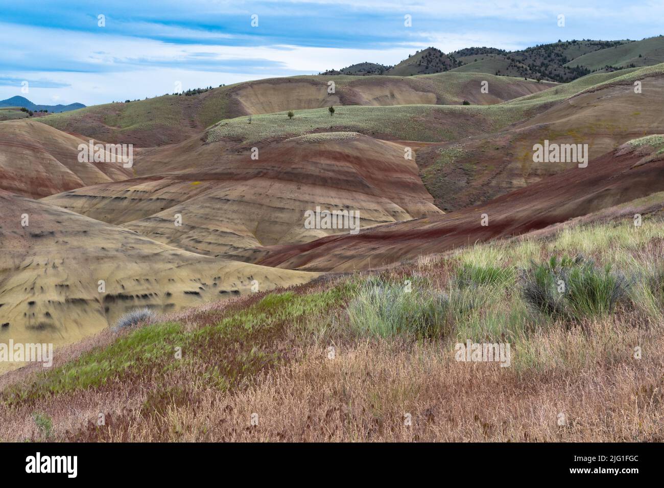 Formation de terre colorée et inhabituelle des collines peintes dans le centre de l'Oregon, États-Unis avec des couleurs vertes rouge et jaune dans les roches. Banque D'Images