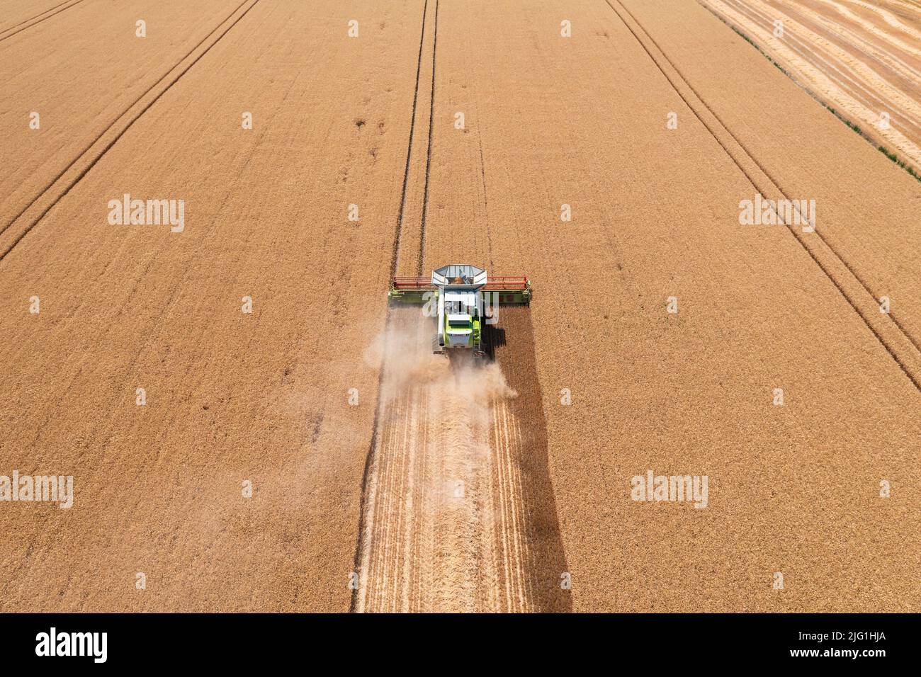 Vue aérienne de la moissonneuse-batteuse travaillant sur un champ de blé. Entreprise agricole, paysage agricole hongrois, crise alimentaire. Banque D'Images