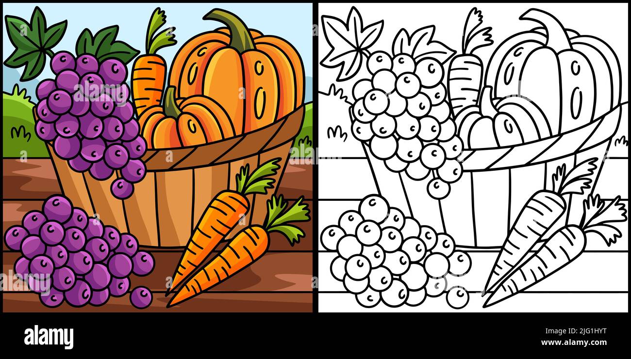 Fruits de récolte de Thanksgiving Illustration des légumes Illustration de Vecteur