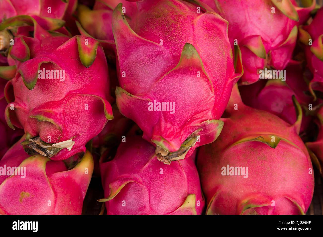 Dragon fruit, fruits, au marché dans le centre-ville, Phimai, Nakhon Ratchasima(Korat), ISAN(Isaan), Thaïlande, Asie du Sud-est, Asie Banque D'Images
