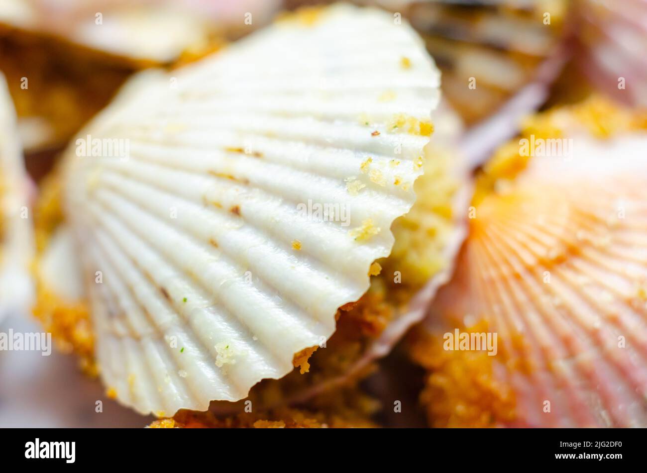 Mini coquilles SaintJacques, coquilles de pétoncles naturelles remplies de pétoncles de