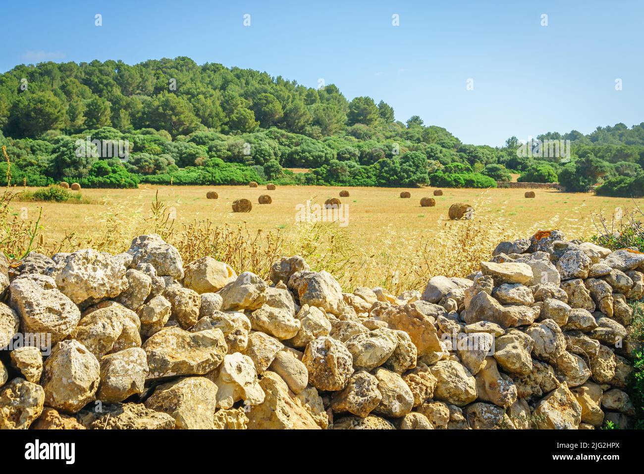 Paysage de Minorque, Iles Baléares. Espagne. Banque D'Images