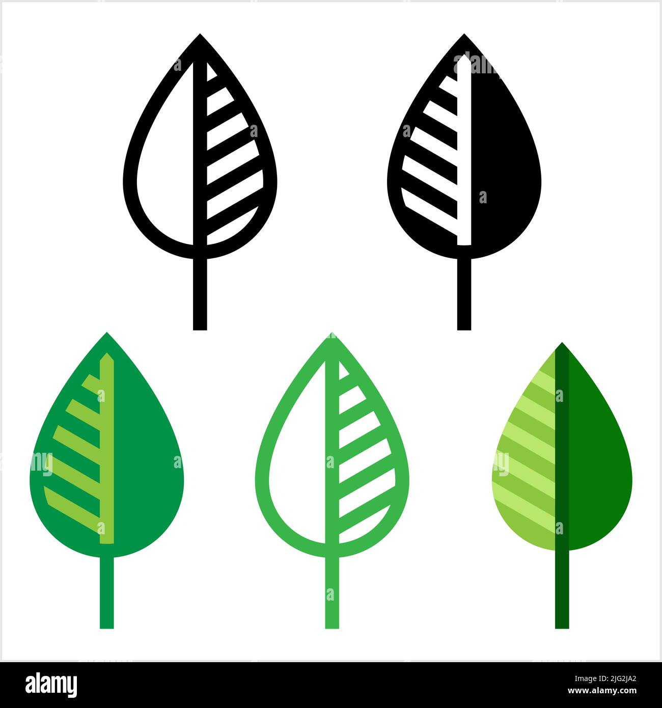 Icône en forme de feuille, ajout provenant de la tige d'Une plante, organe d'Une plante vasculaire Illustration d'art vectoriel Illustration de Vecteur