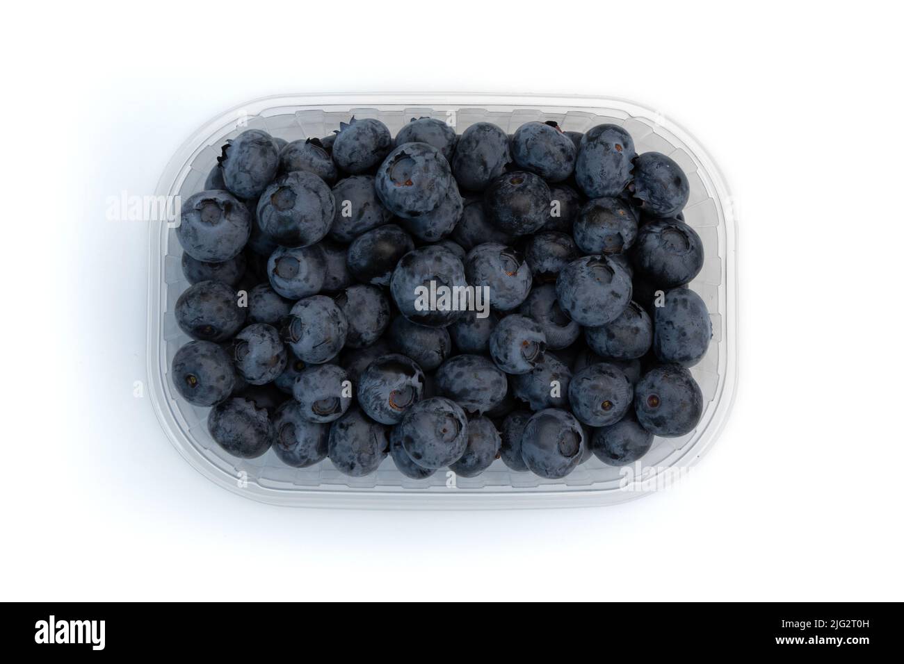 bleuets frais dans un contenant en plastique isolé sur fond blanc, vue de dessus Banque D'Images