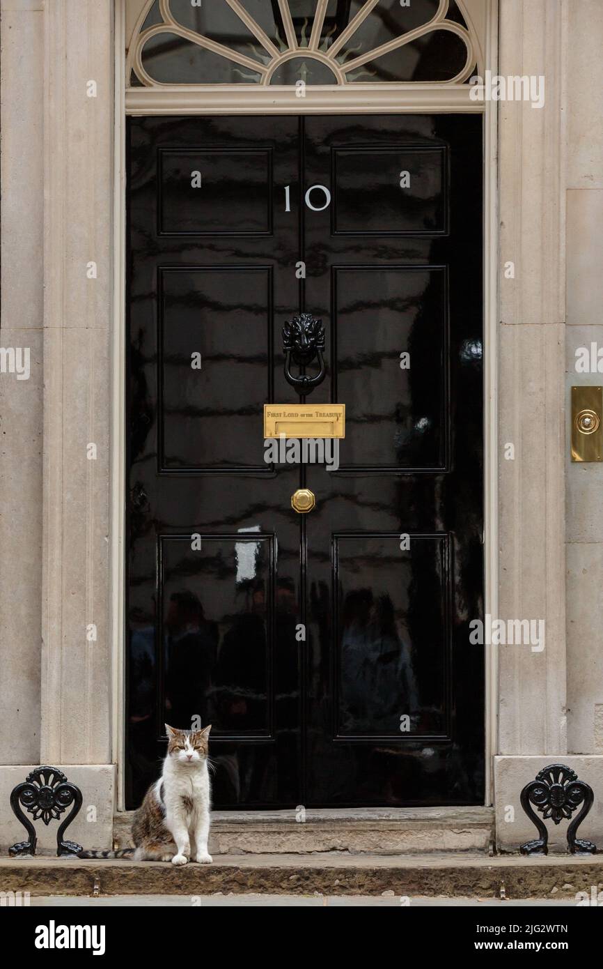 Downing Street, Londres, Royaume-Uni. 6th juillet 2022. Larry, tabby de chat brun et blanc et Mouser en chef au Cabinet Office, assis à la porte de Number Banque D'Images