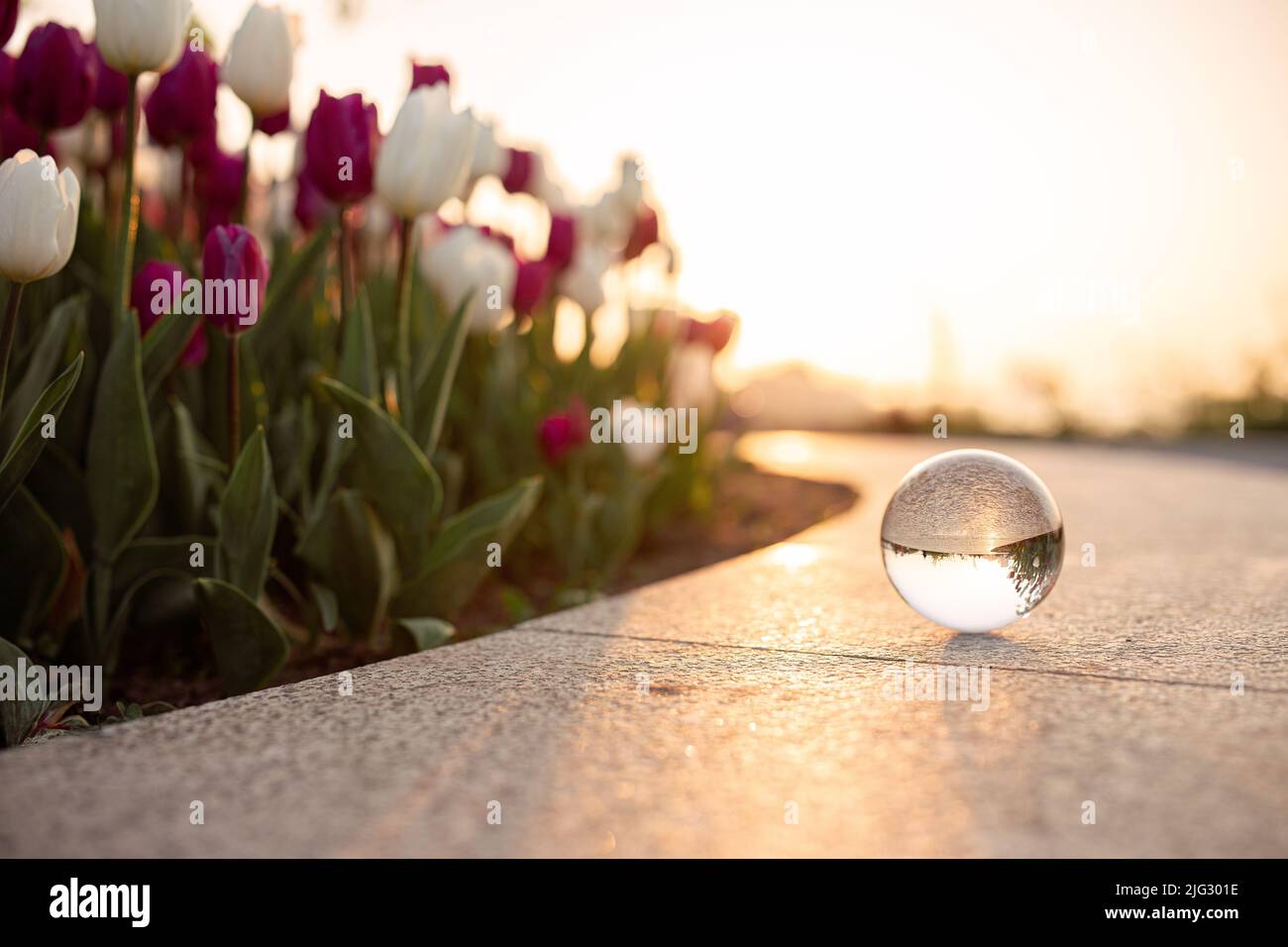 Boule optique en verre au coucher du soleil dans la ville en Ukraine Banque D'Images