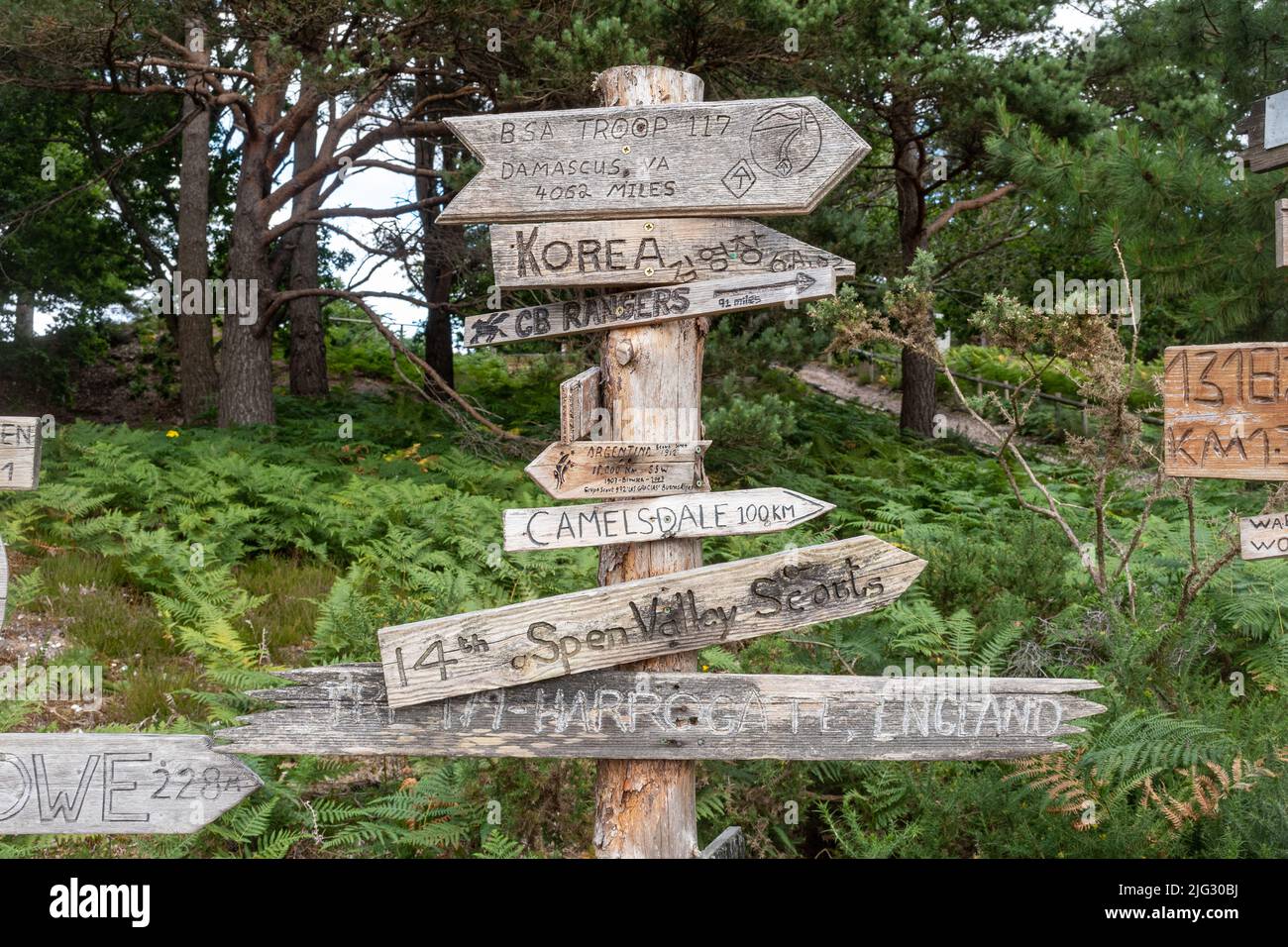 Camp Scout sur l'île de Brownsea, Dorset, Angleterre, Royaume-Uni. Des panneaux en bois sculpté provenant de troupes scoutes qui ont campé sur l'île Banque D'Images