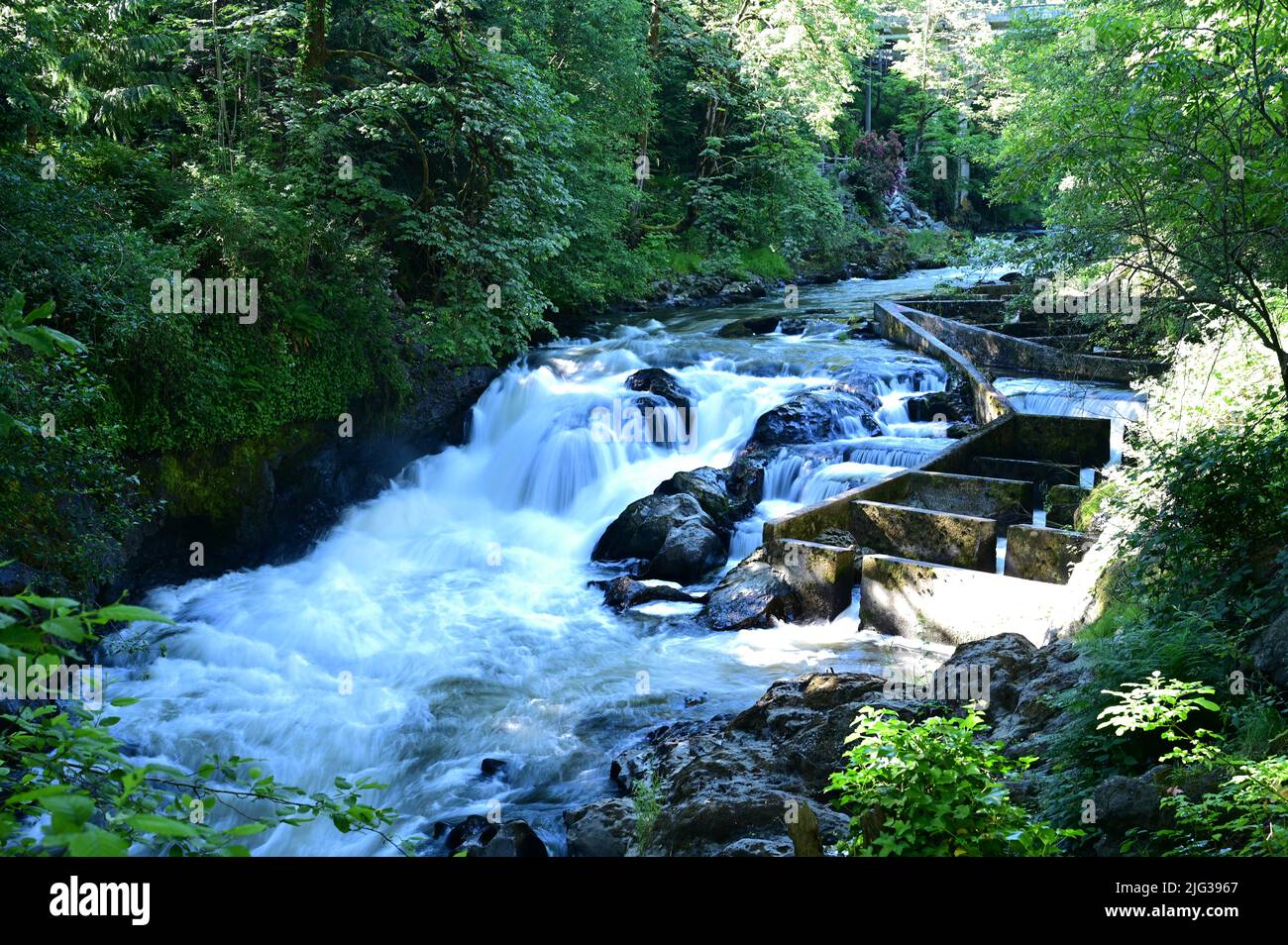 Les chutes d'eau de Tumwater sont une série de cascades sur la rivière Deschutes à Tumwater, Washington, États-Unis. Banque D'Images