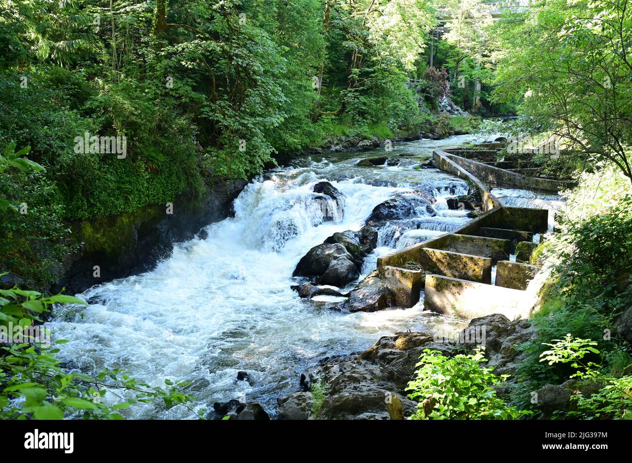 Les chutes d'eau de Tumwater sont une série de cascades sur la rivière Deschutes à Tumwater, Washington, États-Unis. Banque D'Images