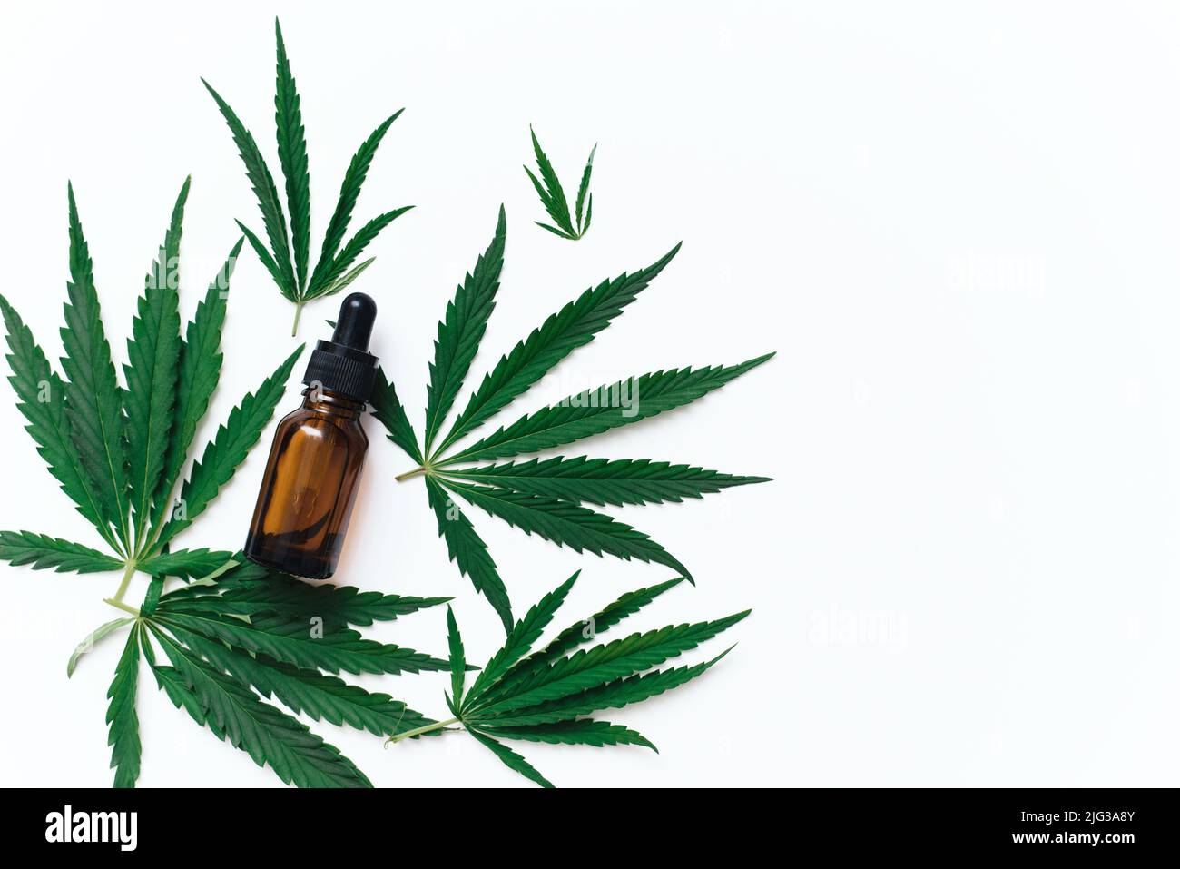 Flacon compte-gouttes avec de l'huile de CBD et des feuilles de chanvre. Sérum cosmétique CBD sur fond blanc. Copier l'espace. Banque D'Images