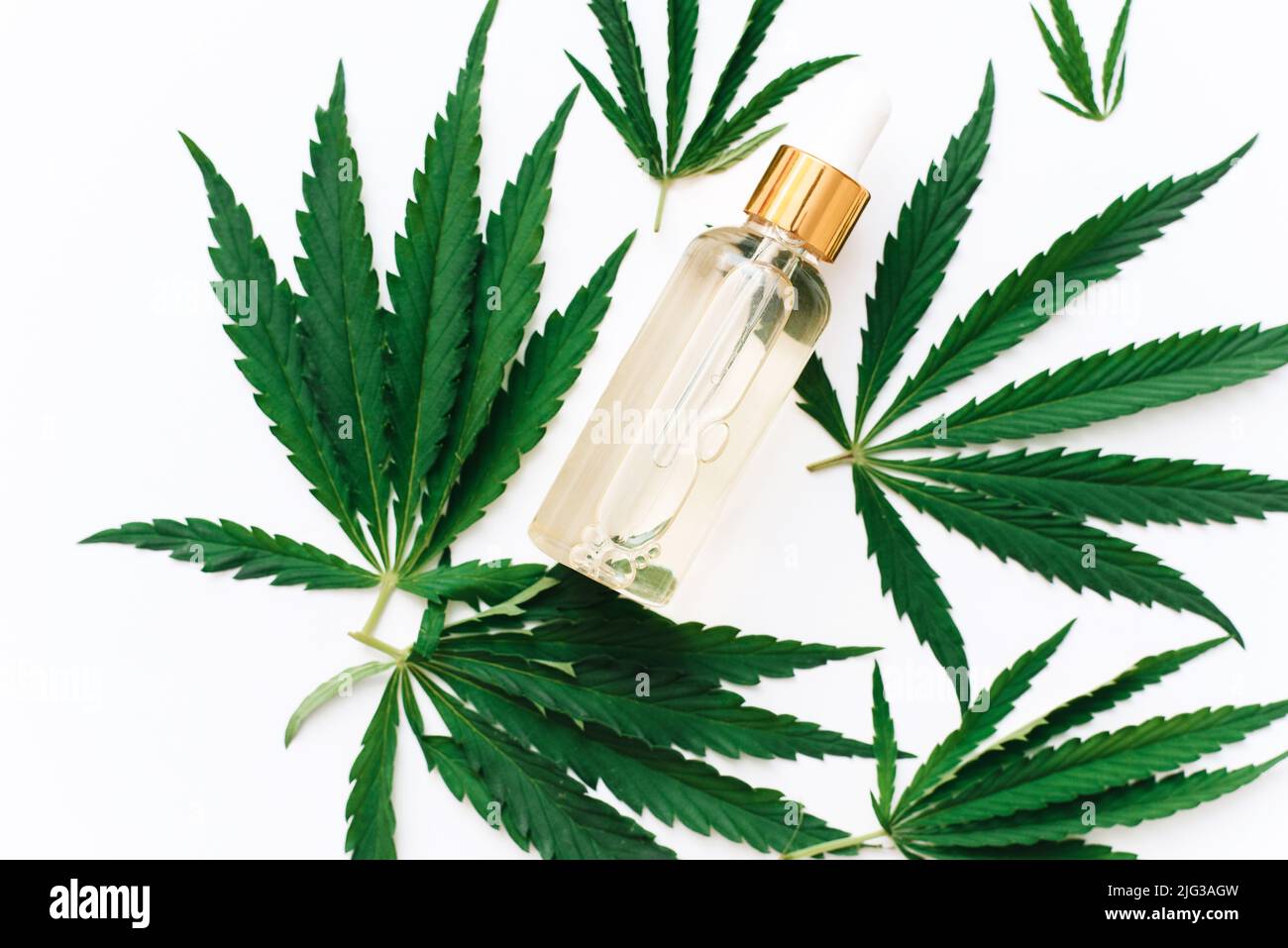 Huile de chanvre CBD dans une bouteille sur fond blanc avec feuilles de chanvre, biomédecine et écologie, herbe de chanvre, médecine, huile de cbd d'un extrait médical Banque D'Images
