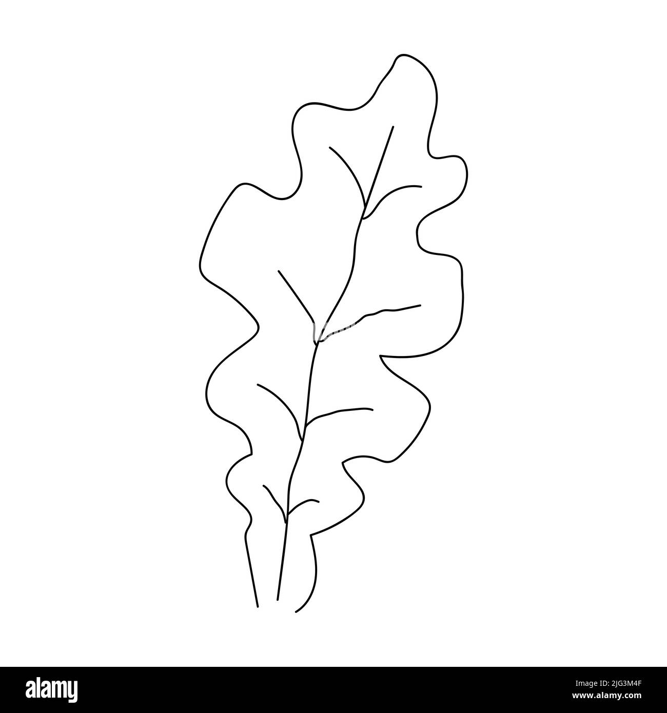 Icône linéaire en chêne. Illustration de traits fins. Tracé de contour vectoriel. Illustration de Vecteur