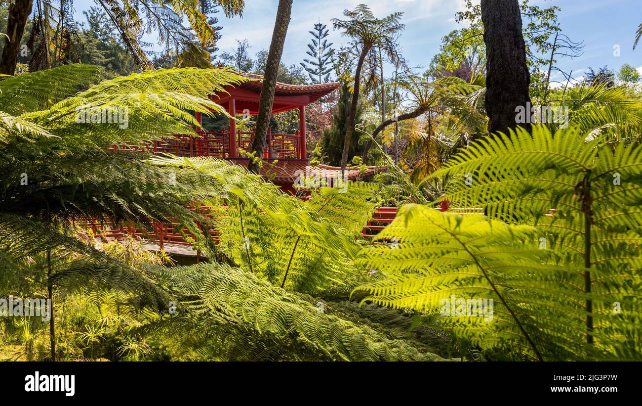 Pagode de jardin tropical Banque D'Images