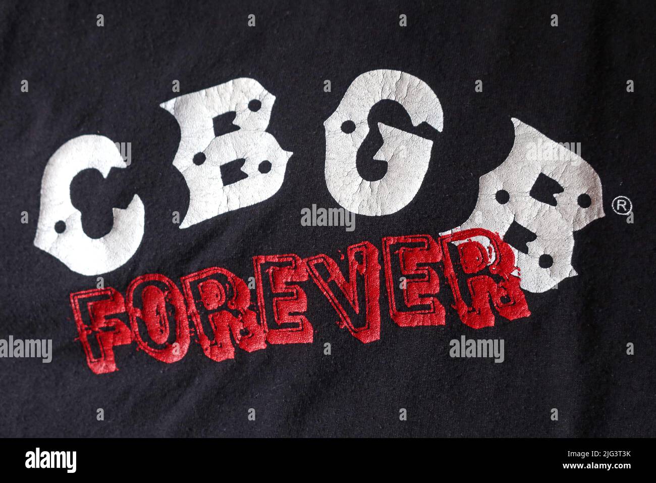 CBGB Forever Festival, fièrement soutenu par Little Stevens Underground garage, Washington Square Park, 31 août 2005, CGGB.Com Banque D'Images