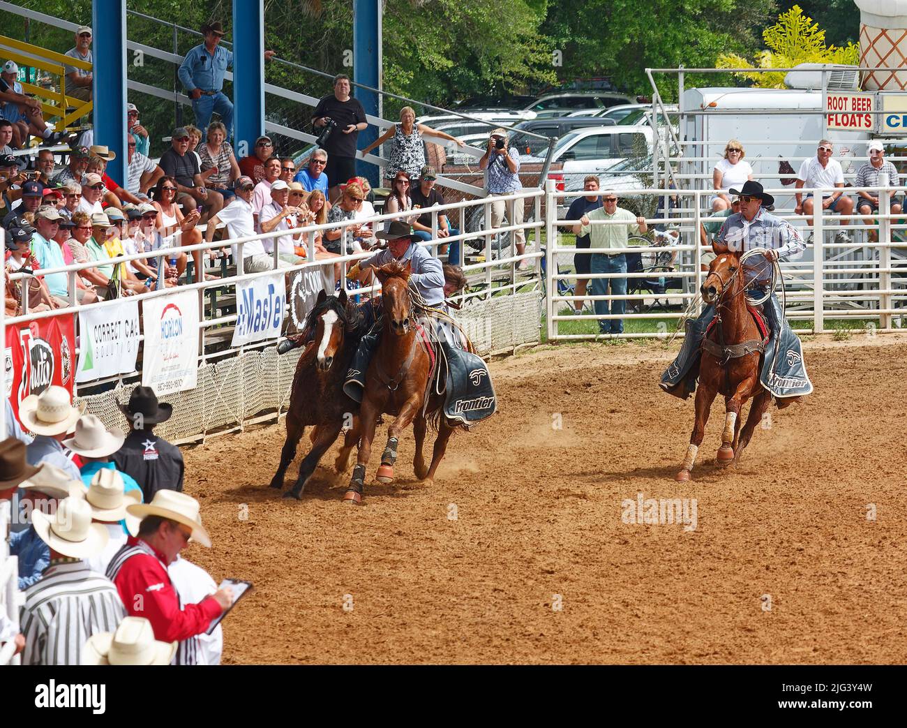 rodeo, homme corraing cheval, travail, stands, spectateurs, concours, compétition, animal, personnes, foule, Floride ; Arcadia ; FL Banque D'Images