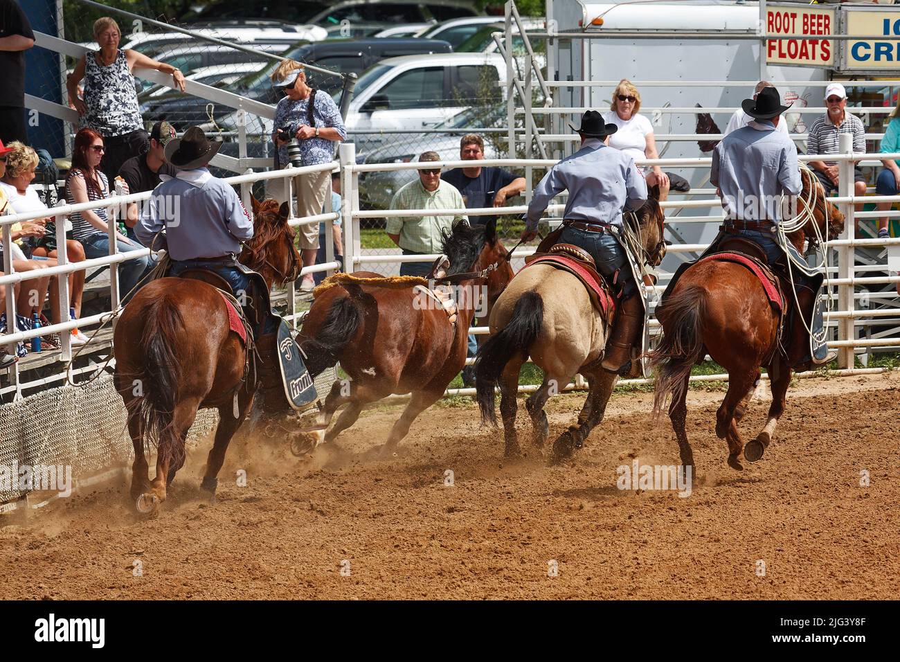 rodeo, hommes corraling cheval, travail, compétence, mouvement, spectateurs, concours, concours, animaux, personnes, Crowd, Floride; Arcadia; FL Banque D'Images