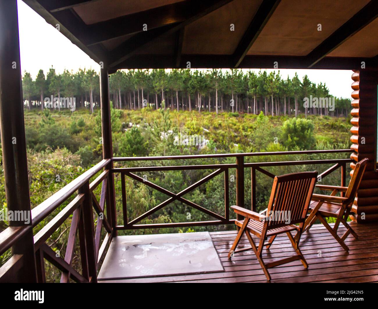 Une vue tranquille depuis une cabine en bois, avec une plantation de pins en arrière-plan, sur la route des jardins de l'Afrique du Sud. Banque D'Images