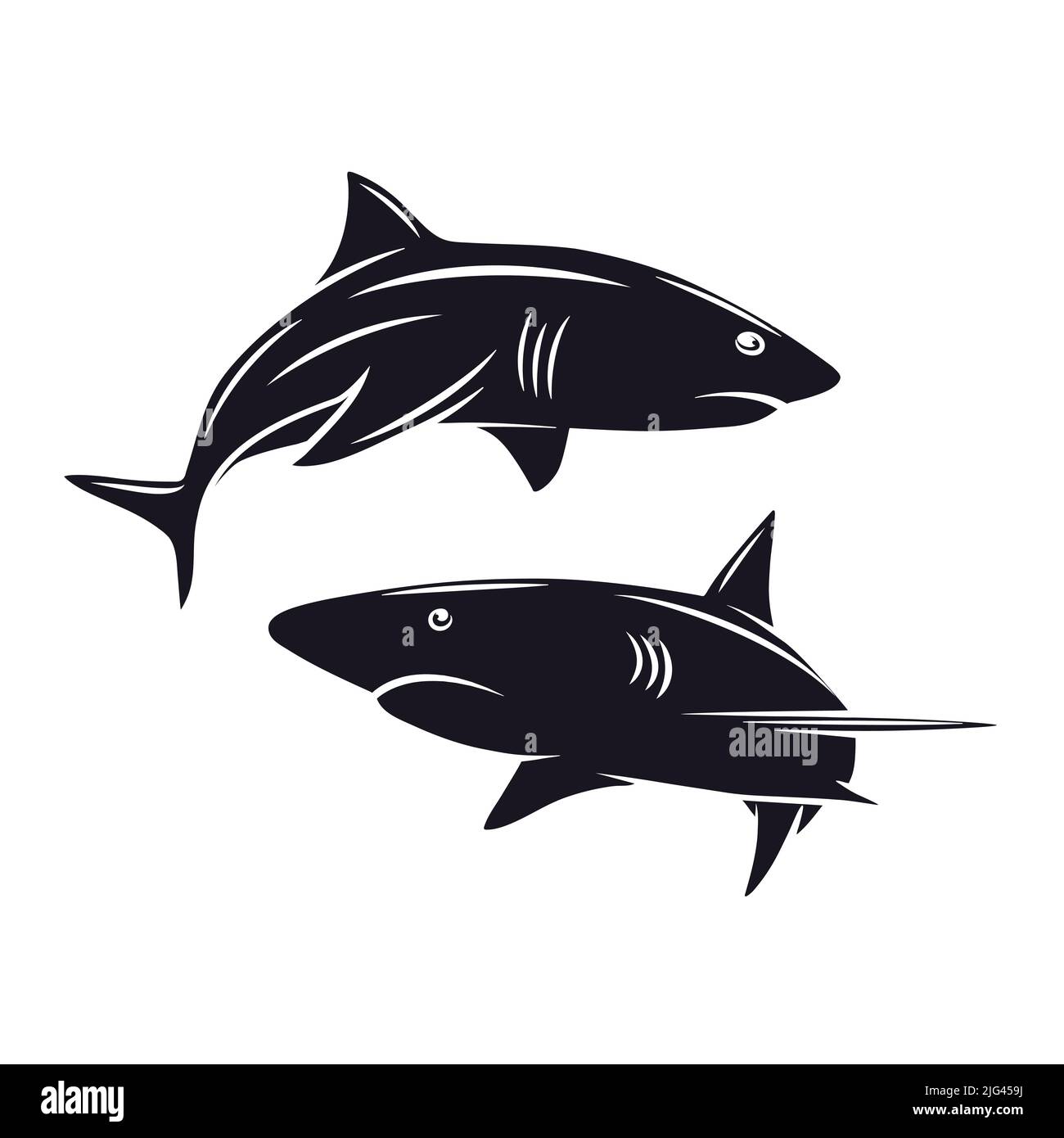 Jeu de requins de dessin vectoriel isolé. Noirs à découpe monochrome dessinés à la main, isolés sur blanc. Ocean Predator. Animaux marins, marins, marins. Requin Illustration de Vecteur