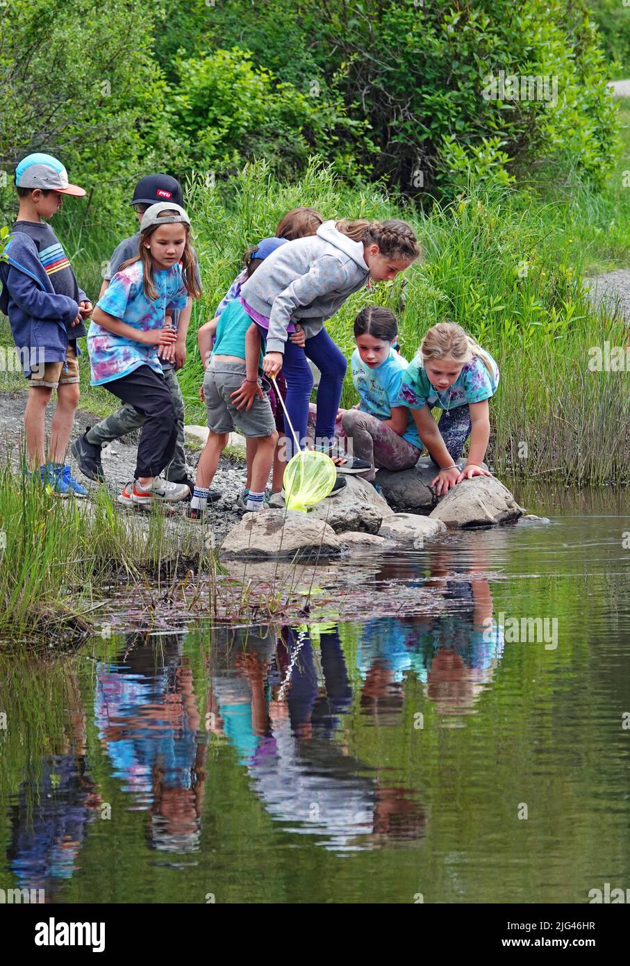 Un groupe d'enfants jouant sur le bord d'un petit étang dans un parc de la ville de Bend, Oregon. Banque D'Images