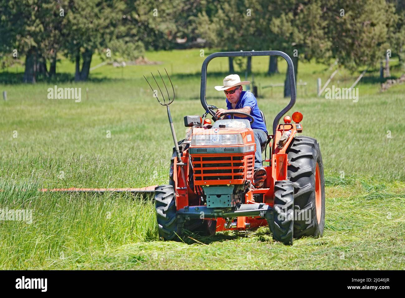 Agriculteur dans un champ de foin de graminées avec son tracteur, Bend, Oregon Banque D'Images